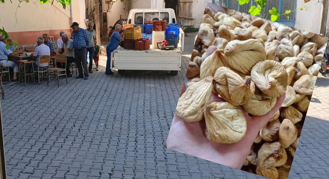 Kaliteli incirin adresi bozdoğan